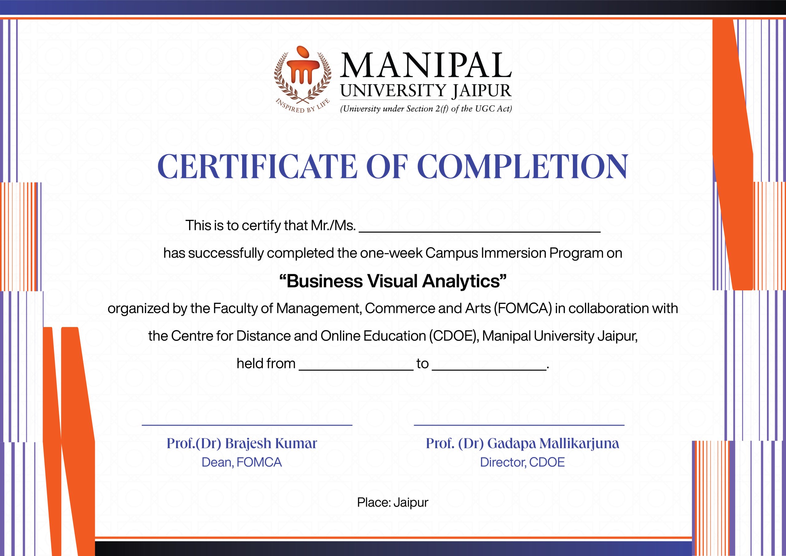 Business Visual Analytics
